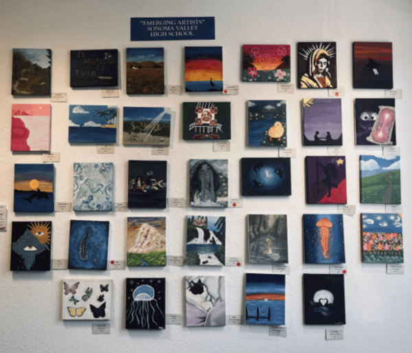 The art displayed from SVHS students.
